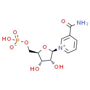 β-煙酰胺單核苷酸；NMN